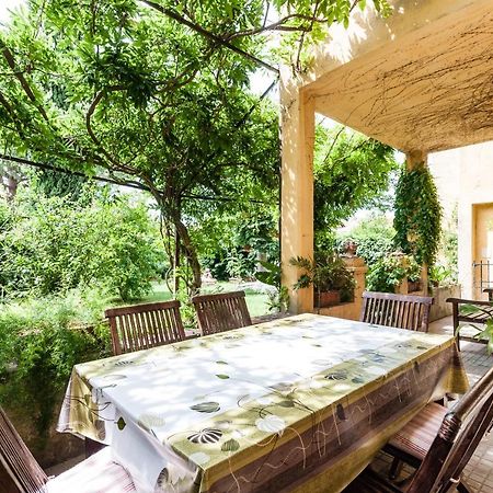 بيزا B&B Casa Marconi المظهر الخارجي الصورة