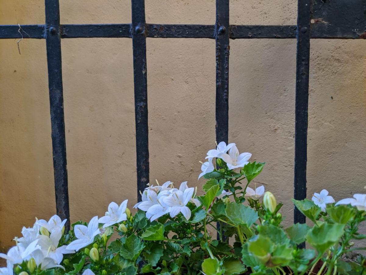بيزا B&B Casa Marconi المظهر الخارجي الصورة