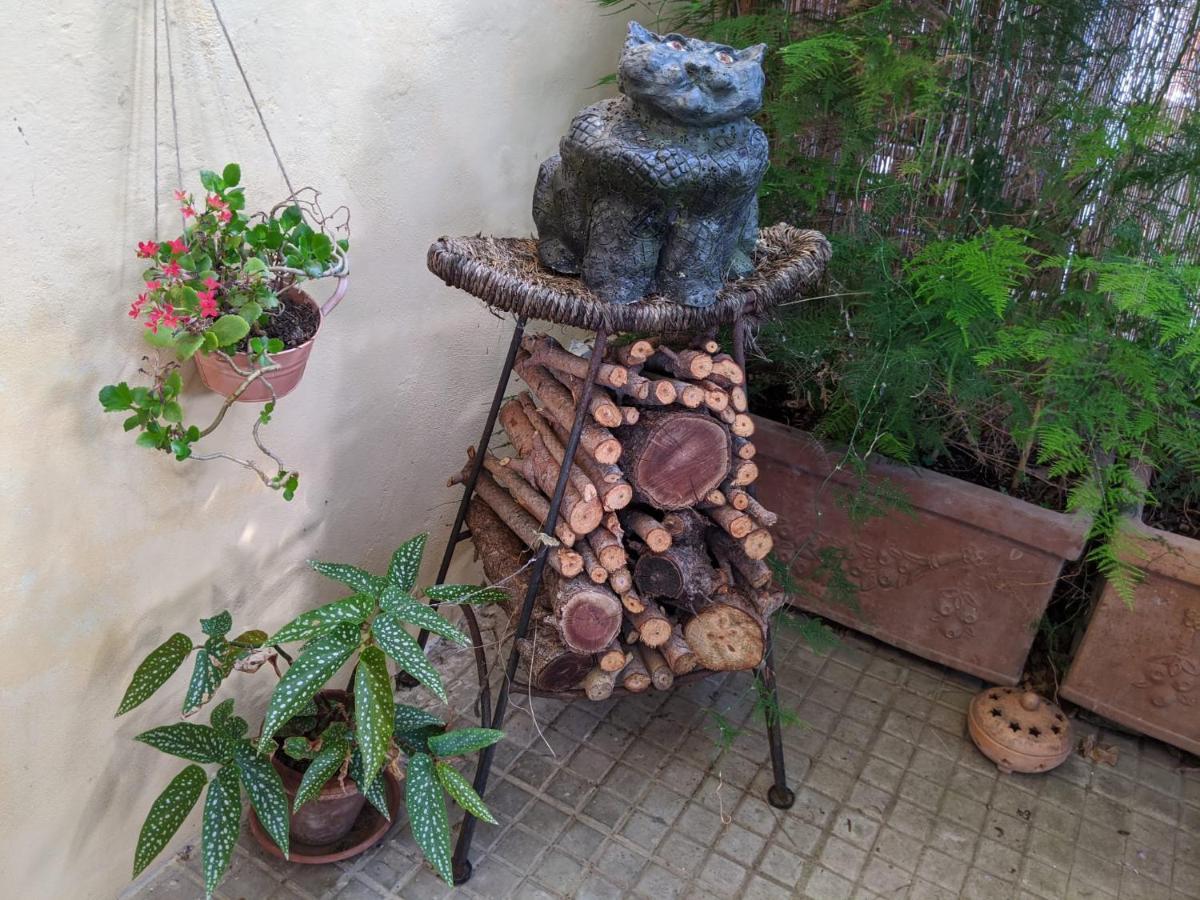 بيزا B&B Casa Marconi المظهر الخارجي الصورة